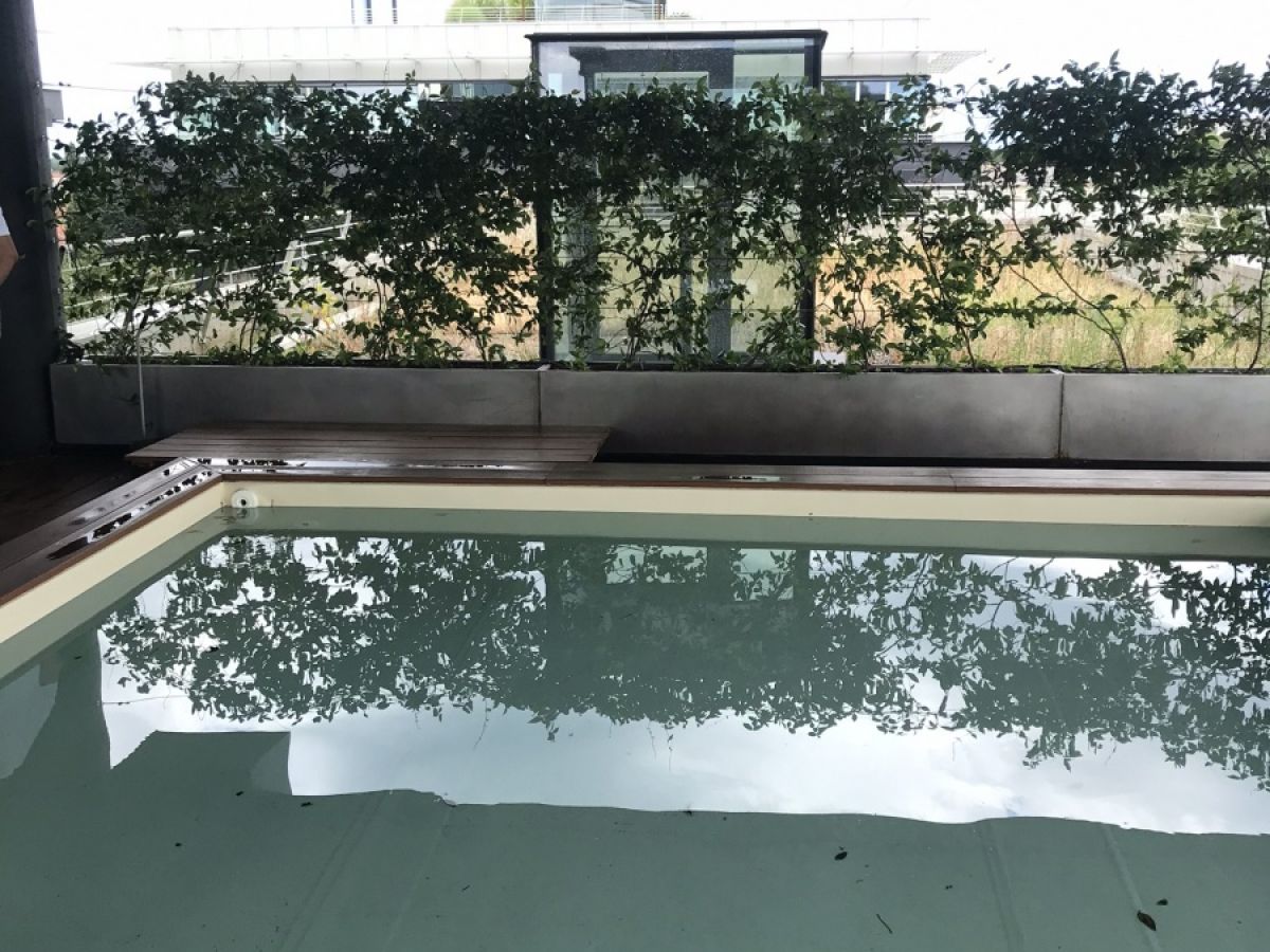 Nuovo attico con piscina